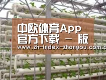 环境展示六