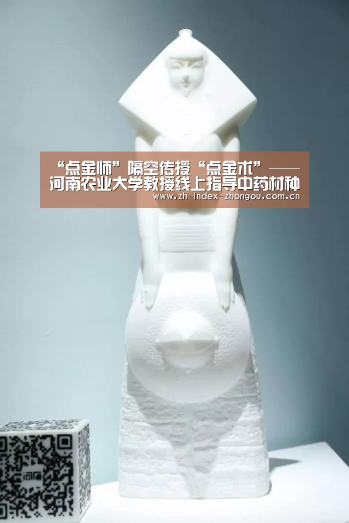 中欧体育官方网站最新版