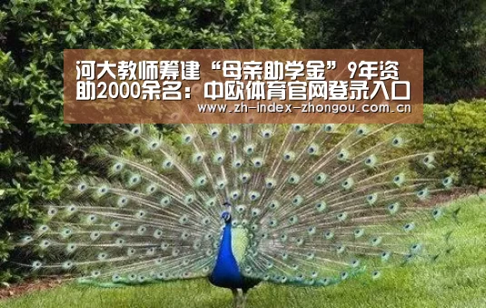 中欧体育官方网站最新版