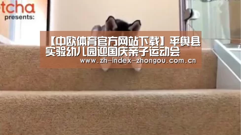 【中欧体育官方网站下载】平舆县实验幼儿园迎国庆亲子运动会(图2) 中欧体育官方网站最新版