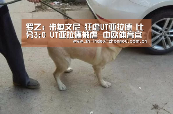 罗乙: 米奥文尼 狂虐UT亚拉德 比分3:0 UT亚拉德被虐-中欧体育官方网站最新版(图2) 中欧体育官方网站下载