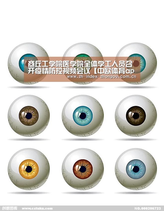 中欧体育官网登录入口
