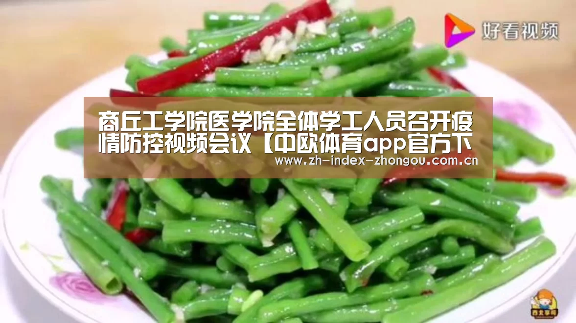 中欧体育官方网站最新版